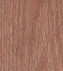 Red Oak